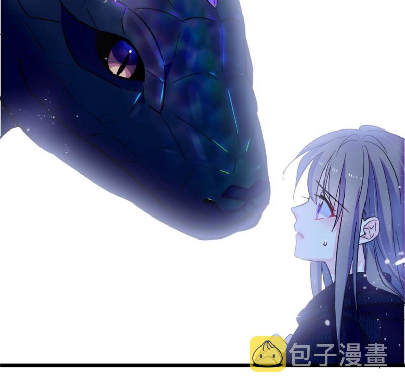 51 走吧，越远越好33