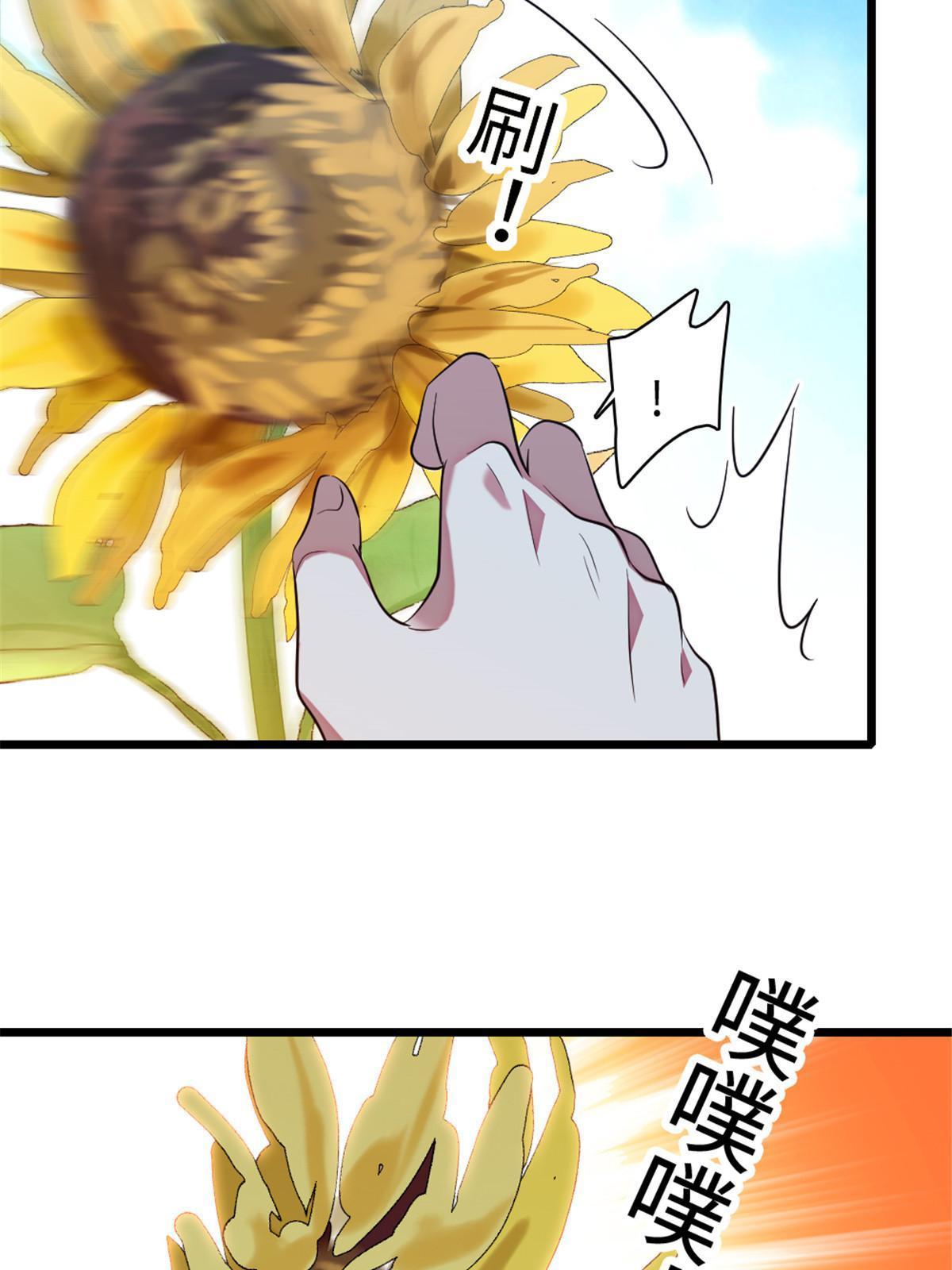 95 植物大战兽人22