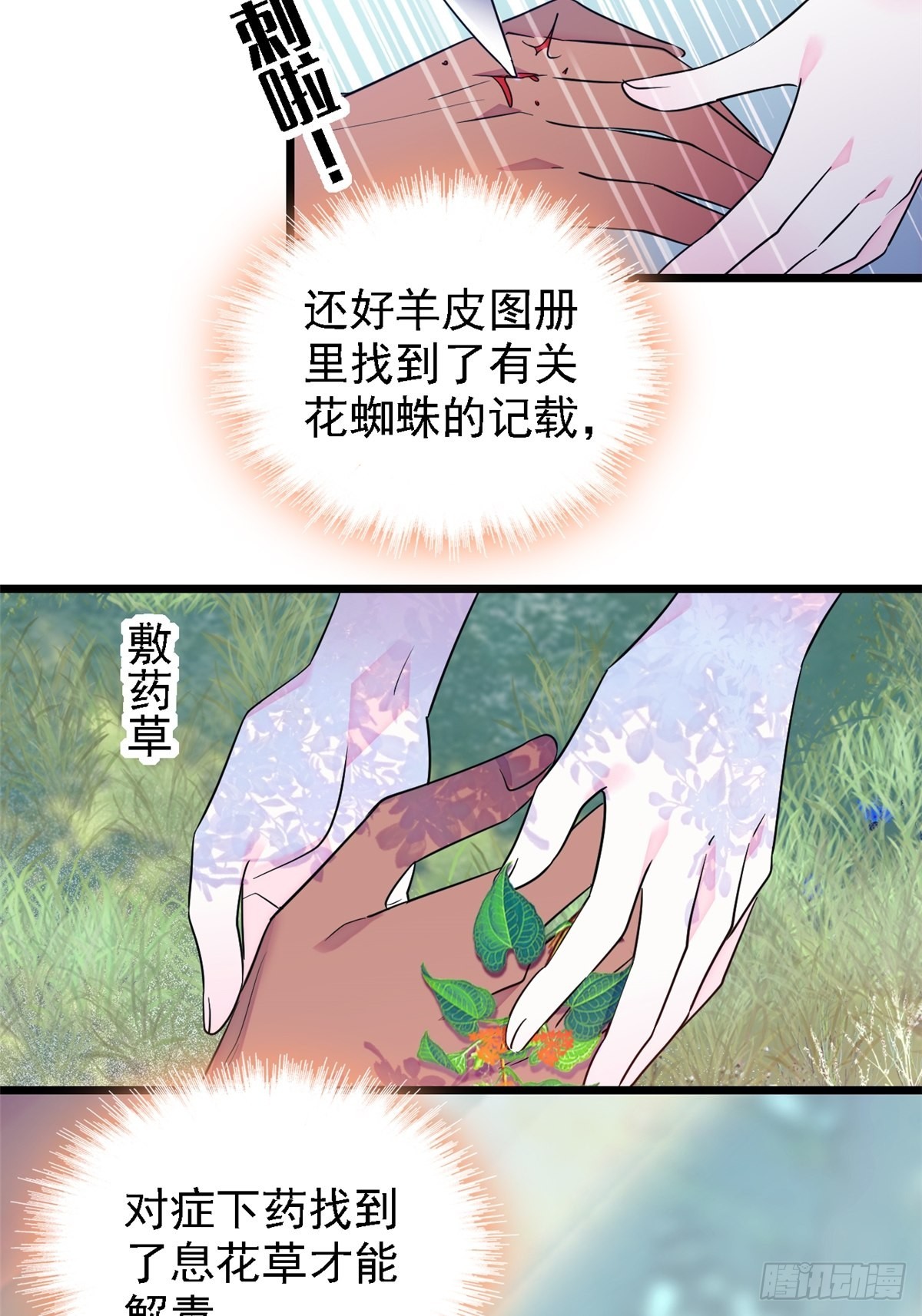 19 你是个笨蛋12