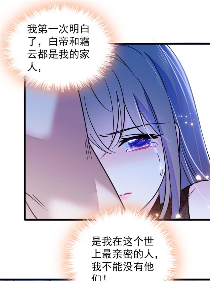 58 神木种子51