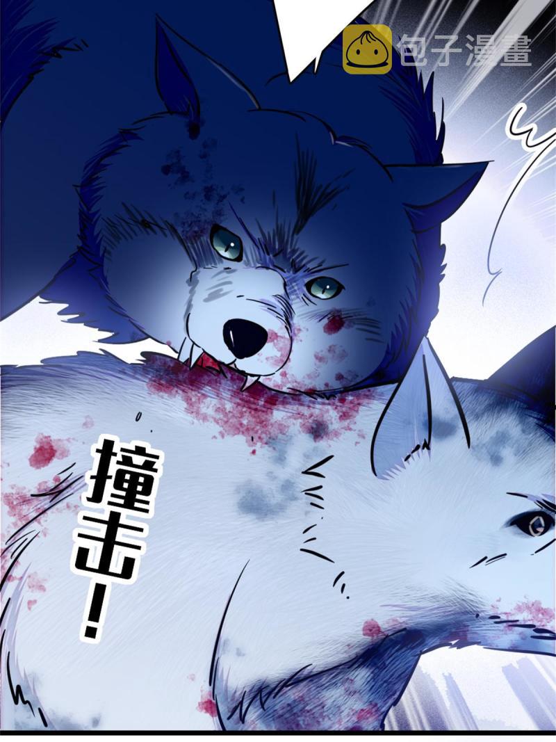 53 岩石狼族没有懦夫37