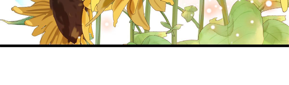 95 植物大战兽人48