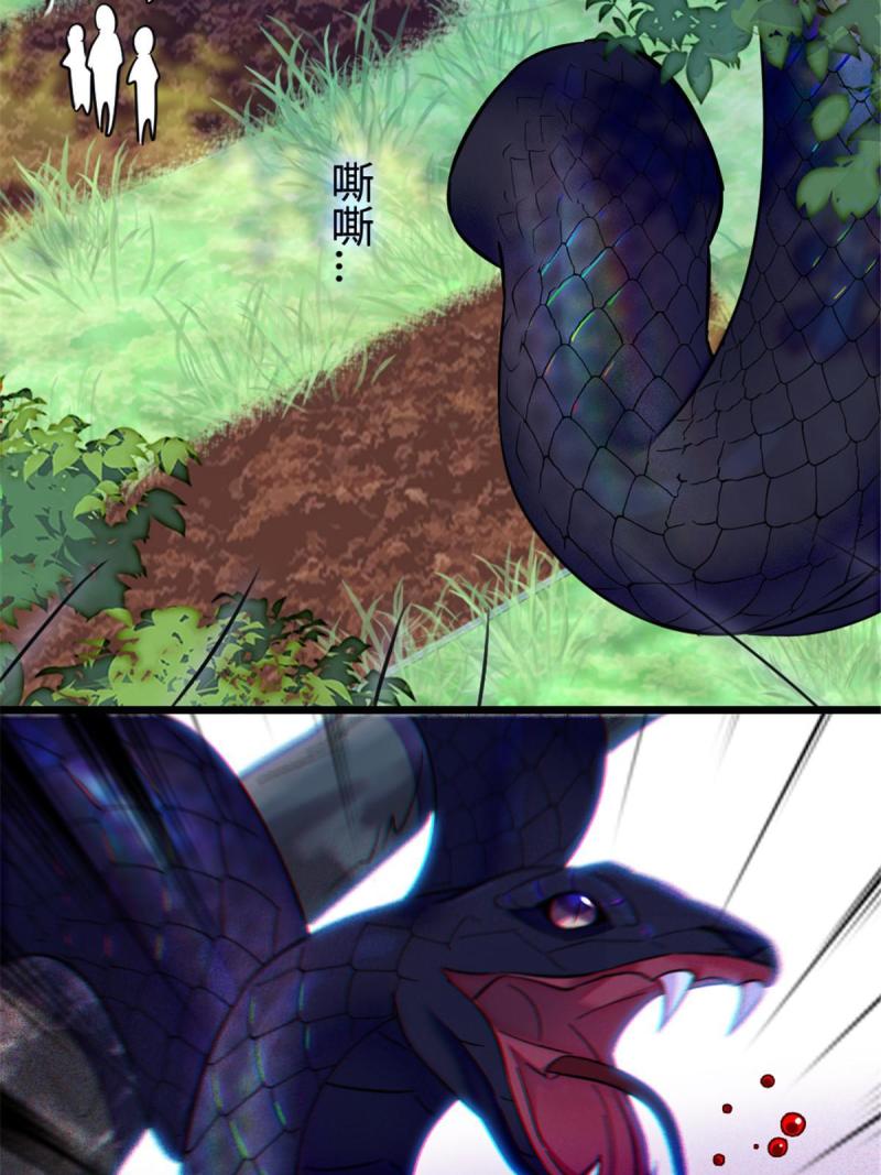 81 羽族出现62