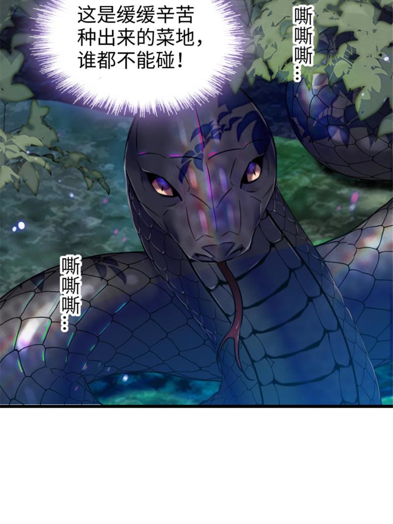 80 角落里的守护者55