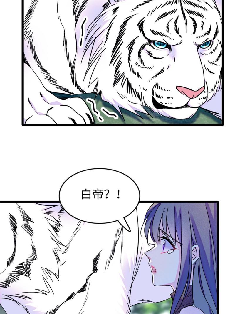 86 白帝VS血翎47