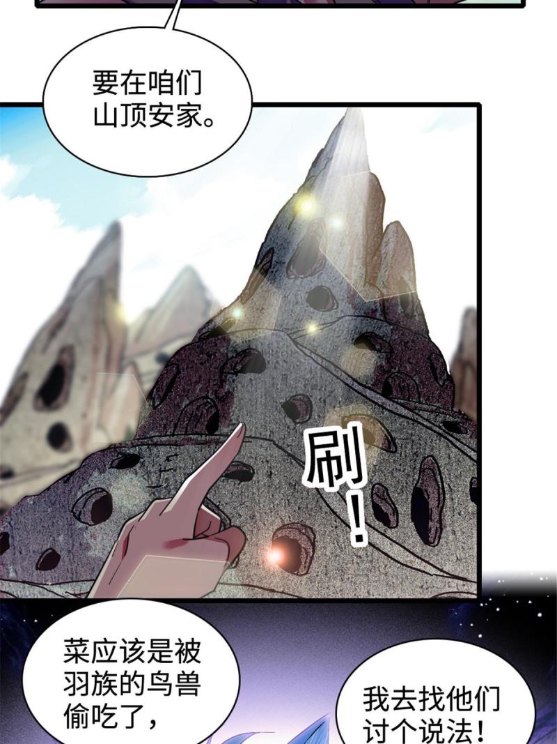 81 羽族出现42