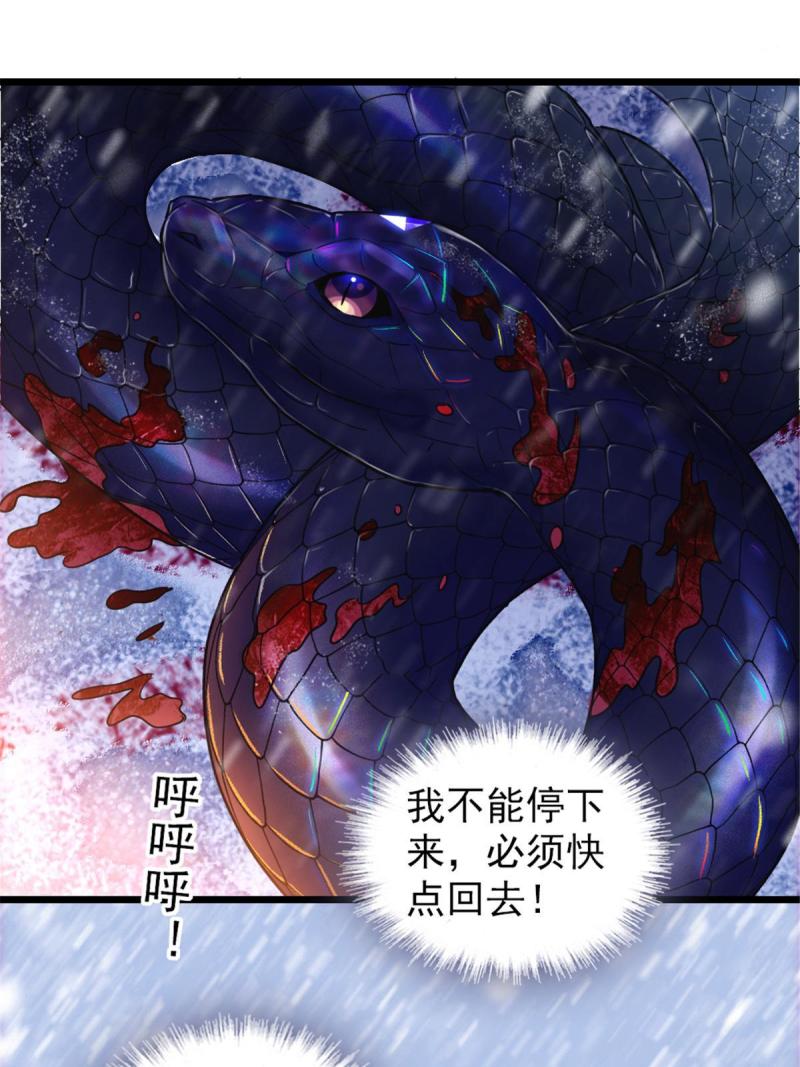 50 等着我58