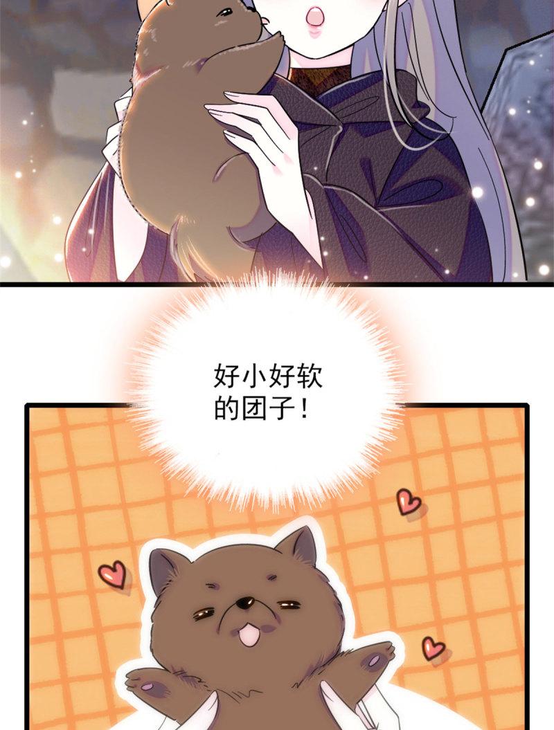 60 新的信仰50