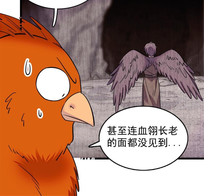 85 羽族长老22