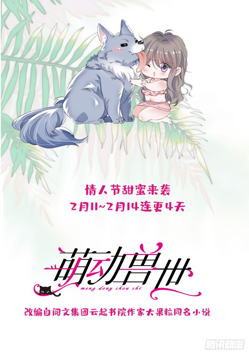 34 没有资格27
