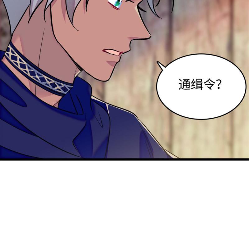 78 通缉令42