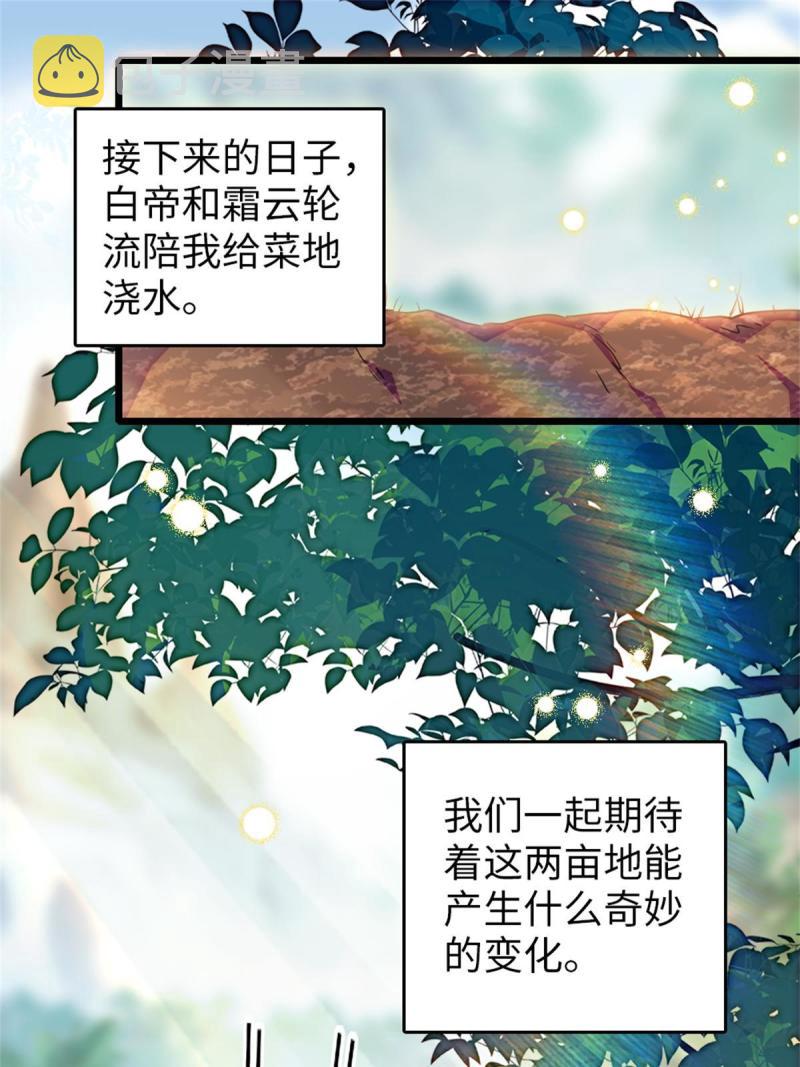 70 无法拒绝白帝7