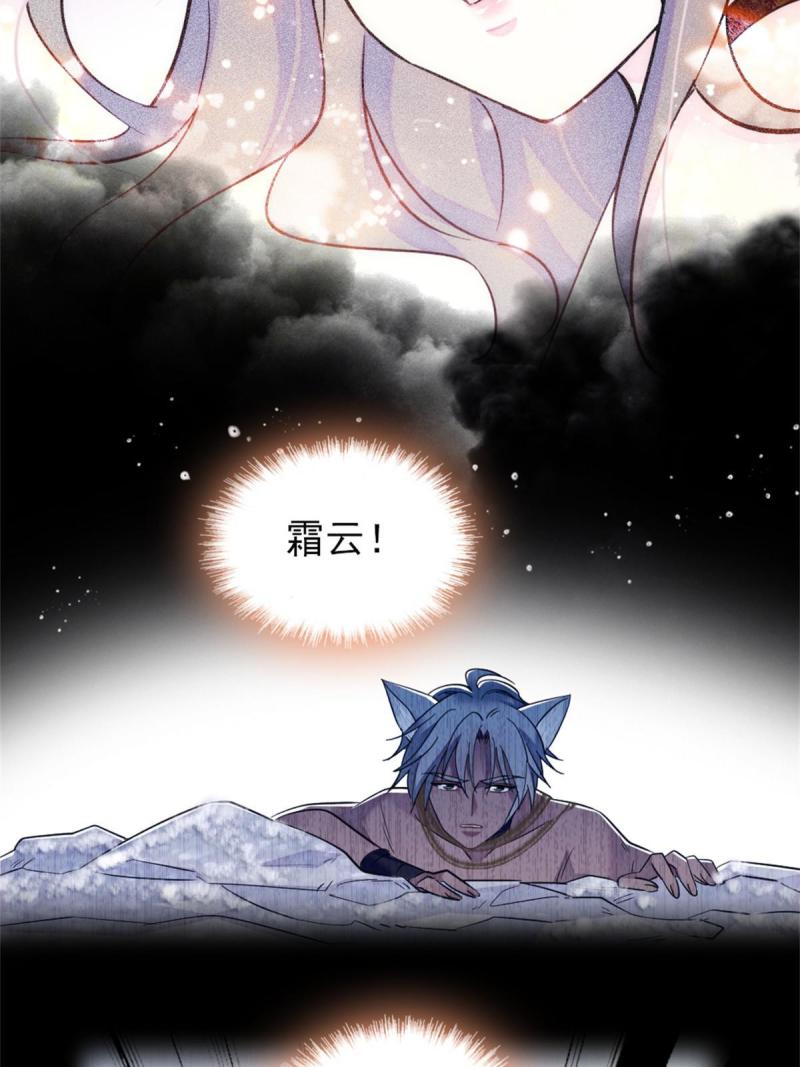58 神木种子35