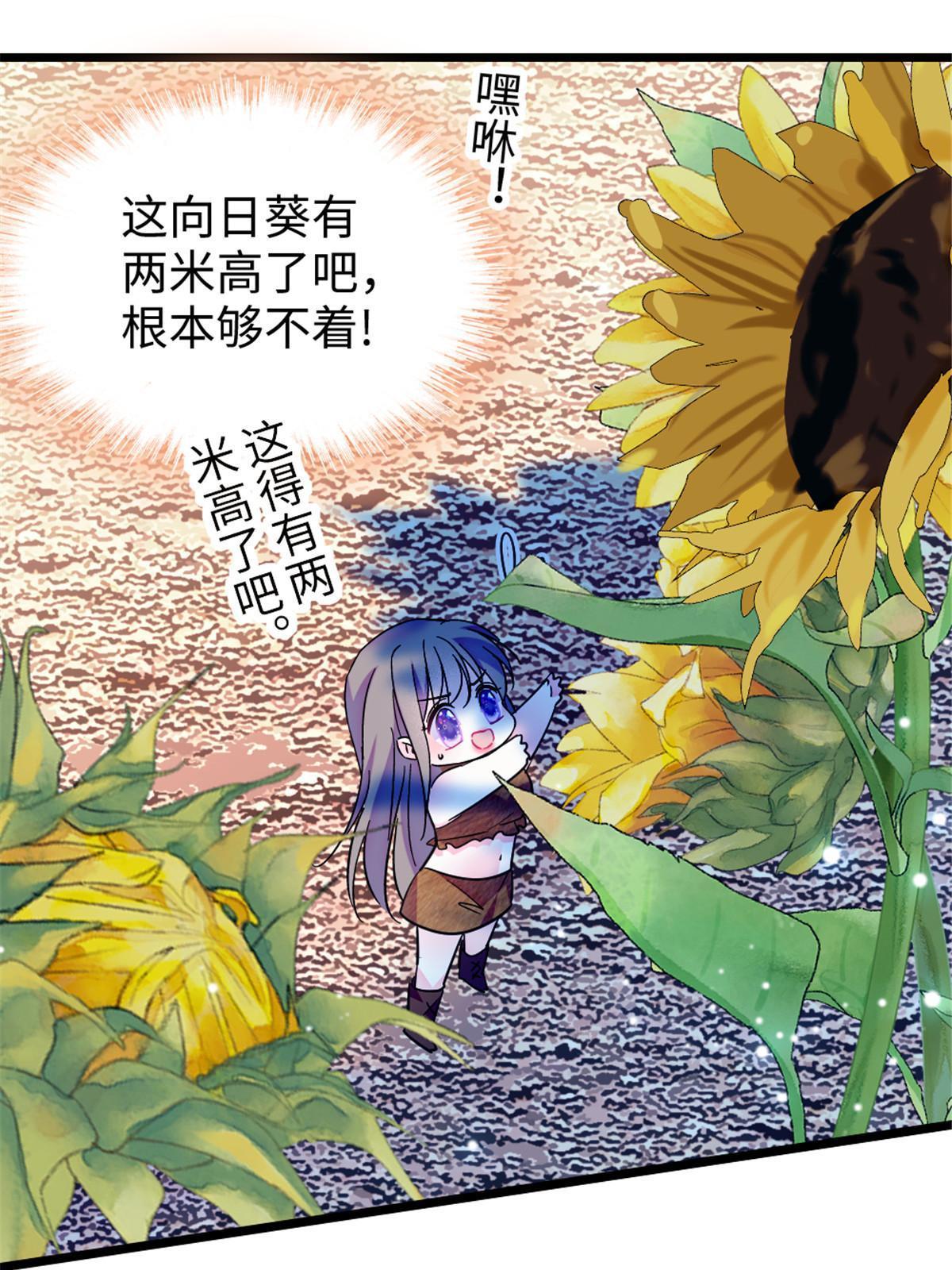 95 植物大战兽人20