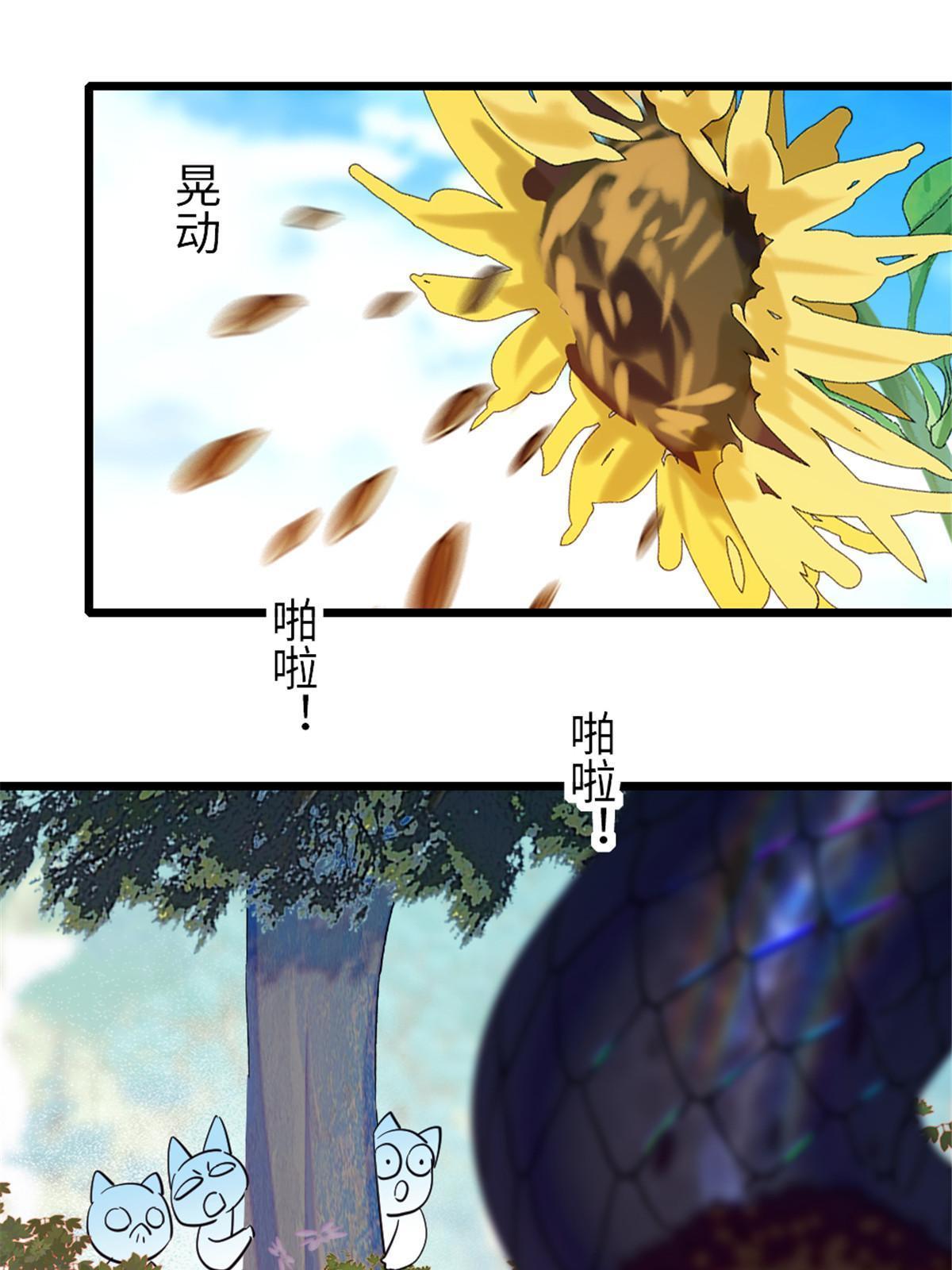 95 植物大战兽人53