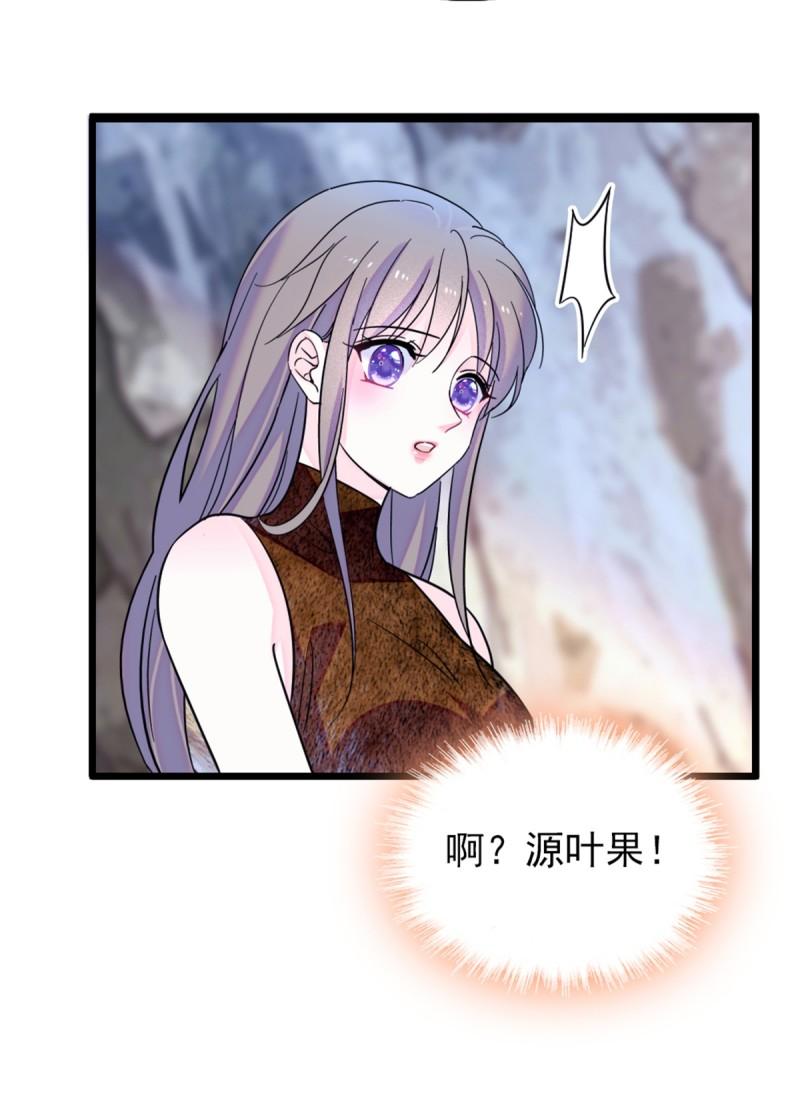 42 源叶果的妙用17