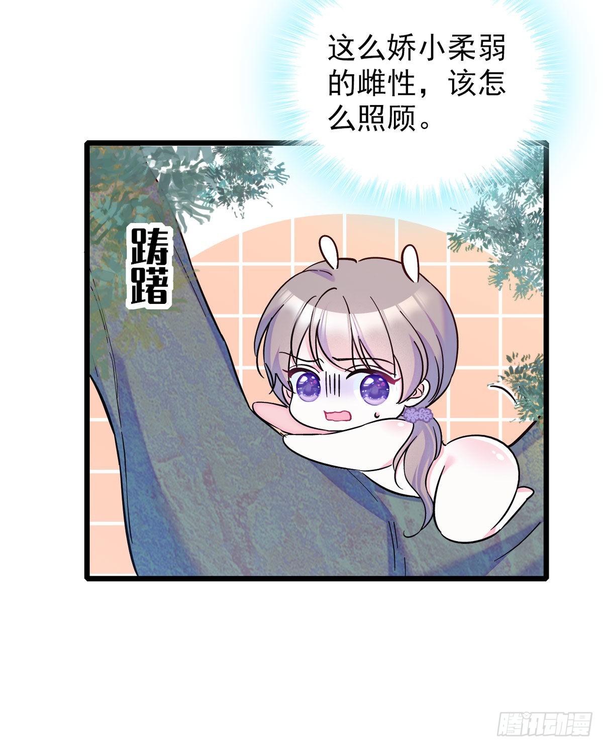 03 这是，动物世界？25