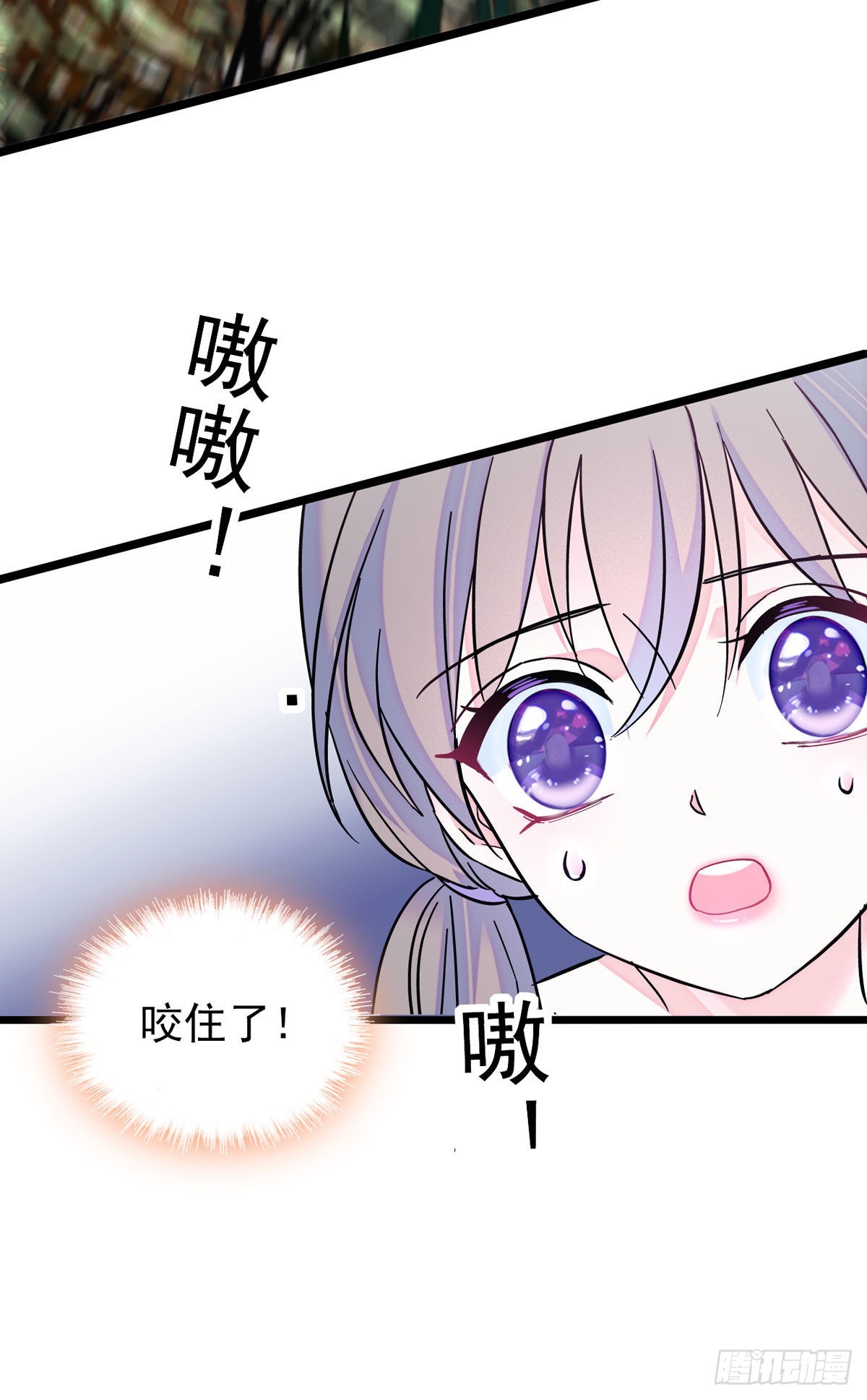 03 这是，动物世界？18