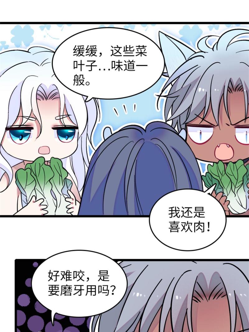 70 无法拒绝白帝49