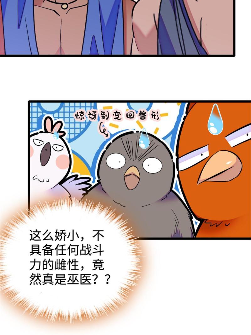 85 羽族长老13