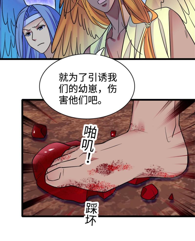 81 羽族出现59