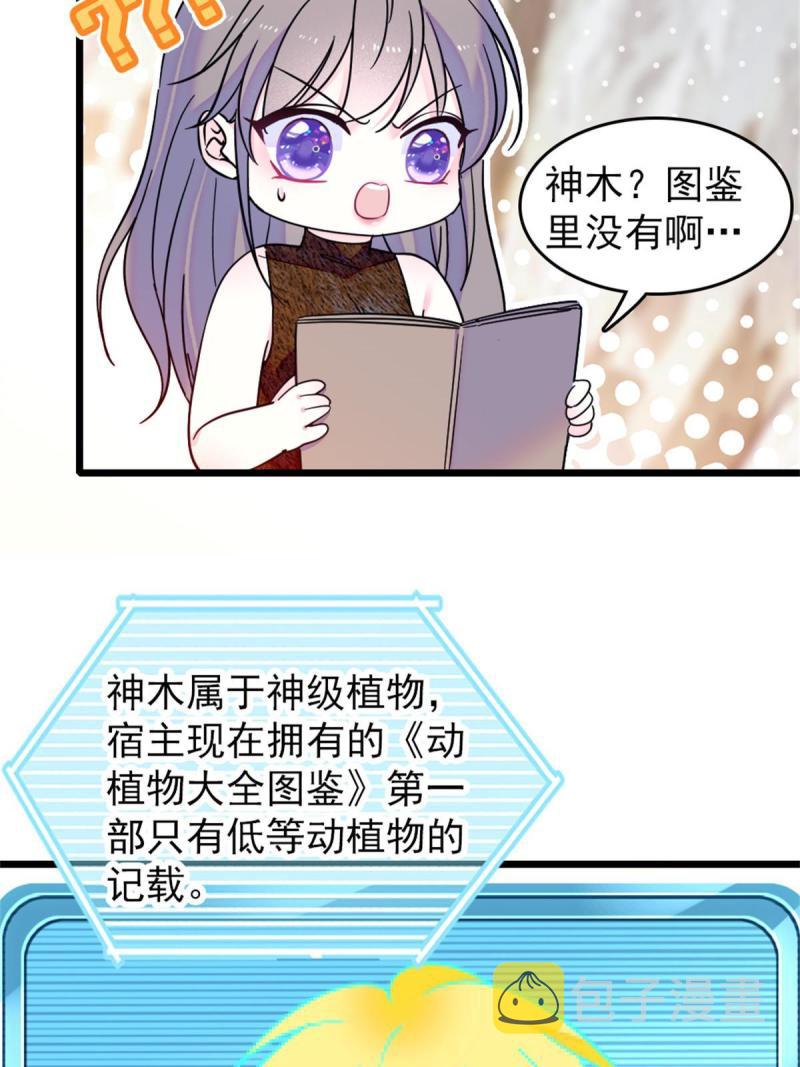 58 神木种子7
