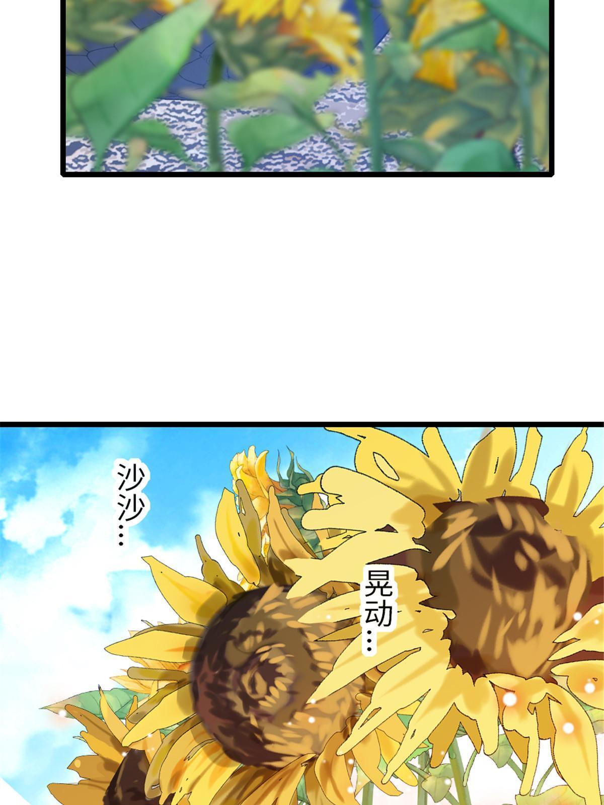 95 植物大战兽人47
