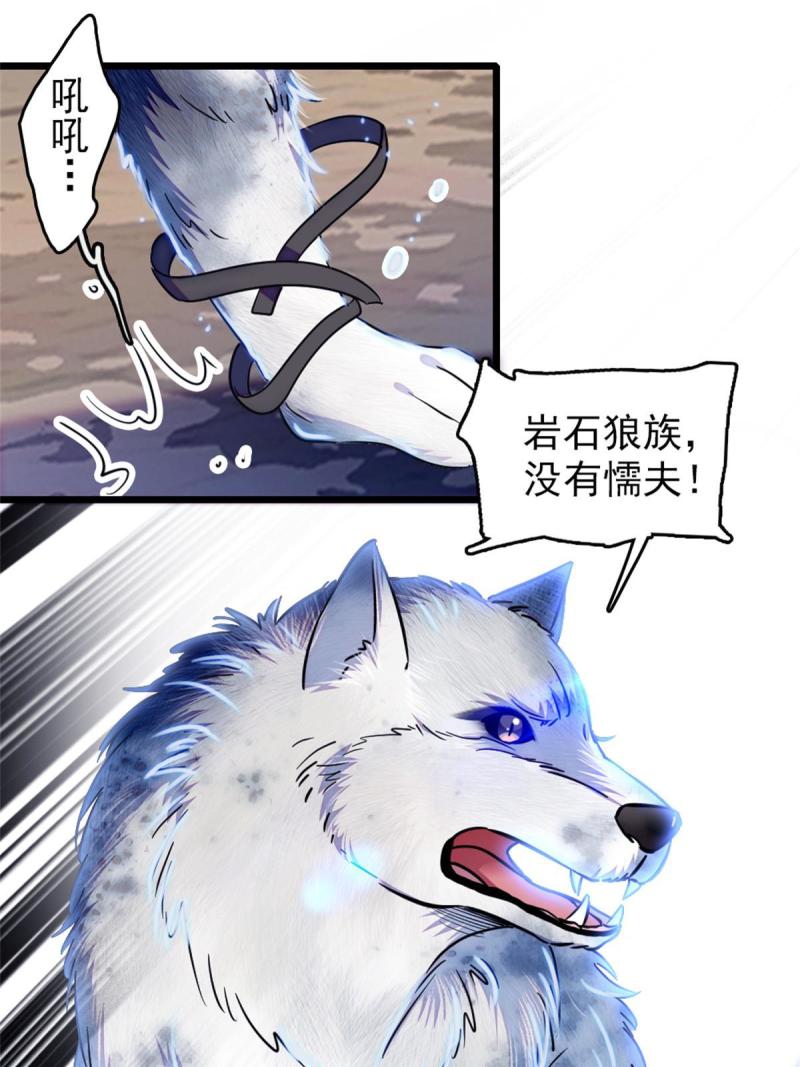 53 岩石狼族没有懦夫27