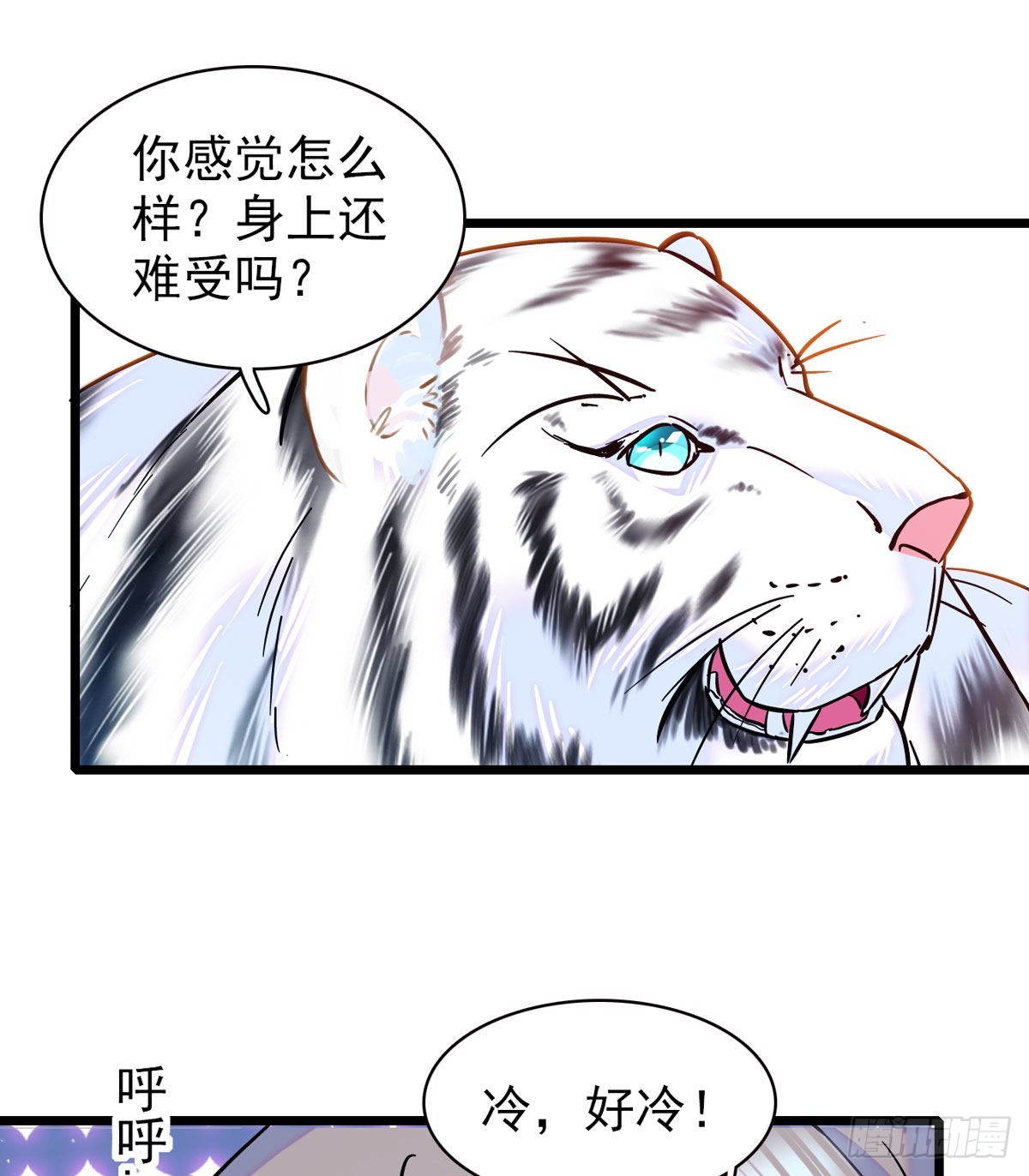 03 这是，动物世界？5