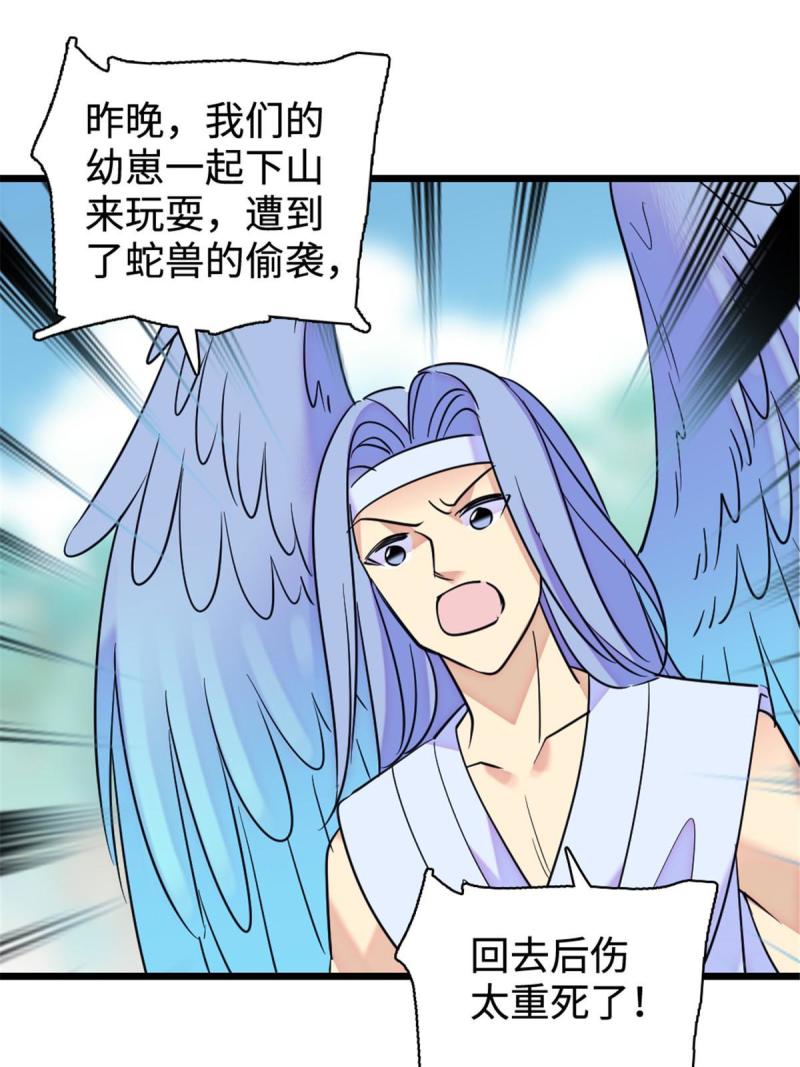 81 羽族出现53
