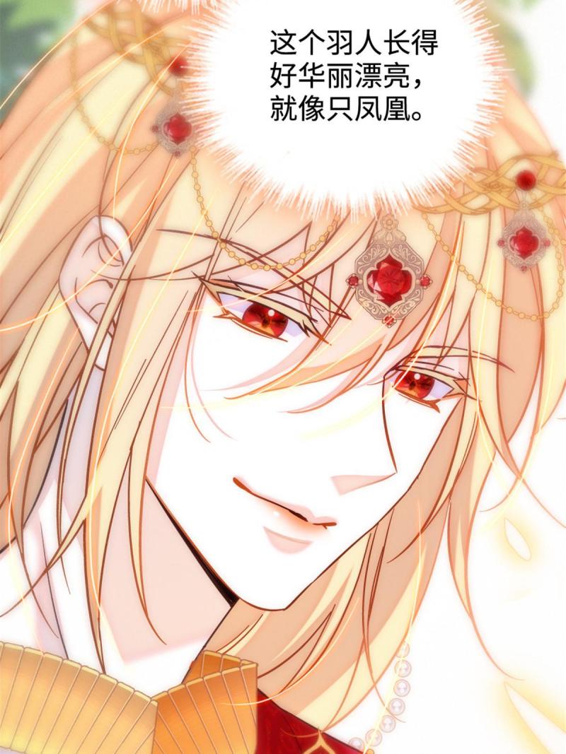 85 羽族长老50