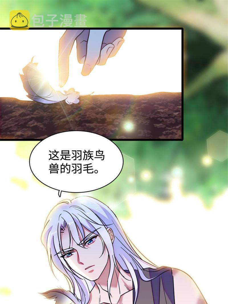 81 羽族出现40