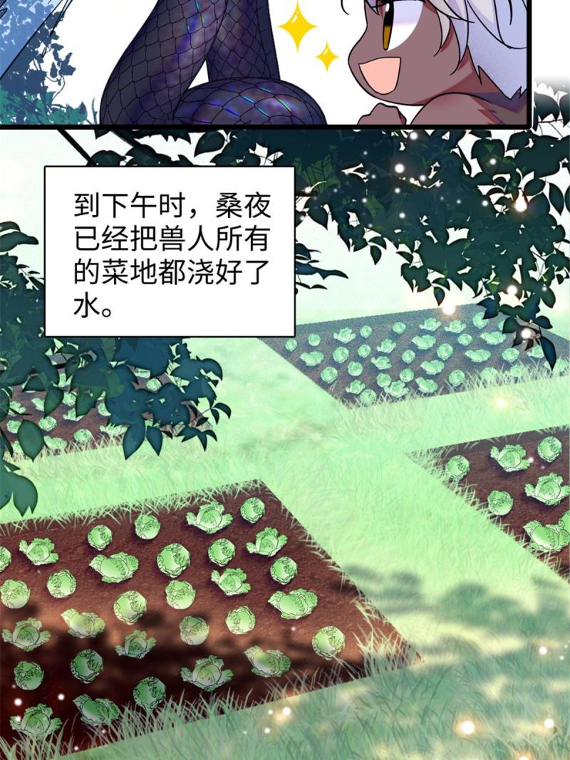 84 缓缓的肉和菜33