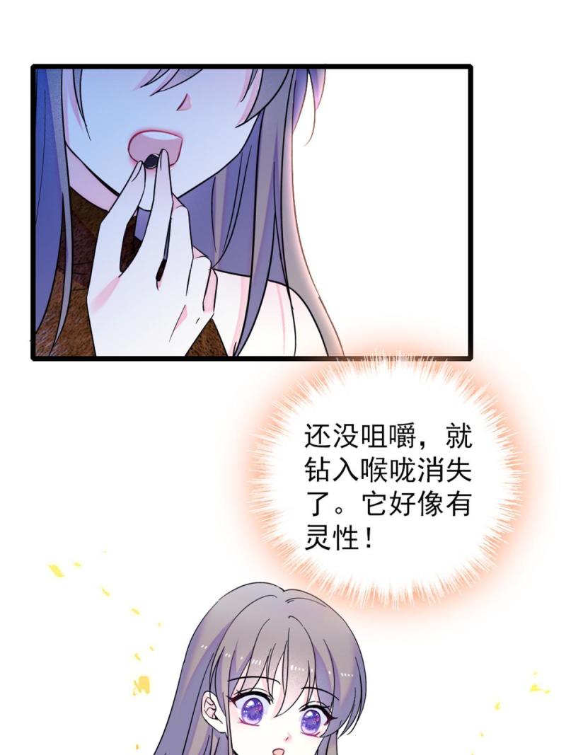 58 神木种子18