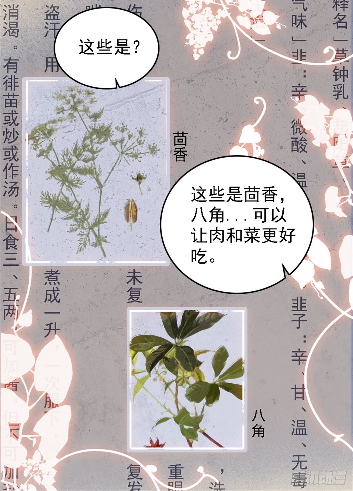 23 木香15