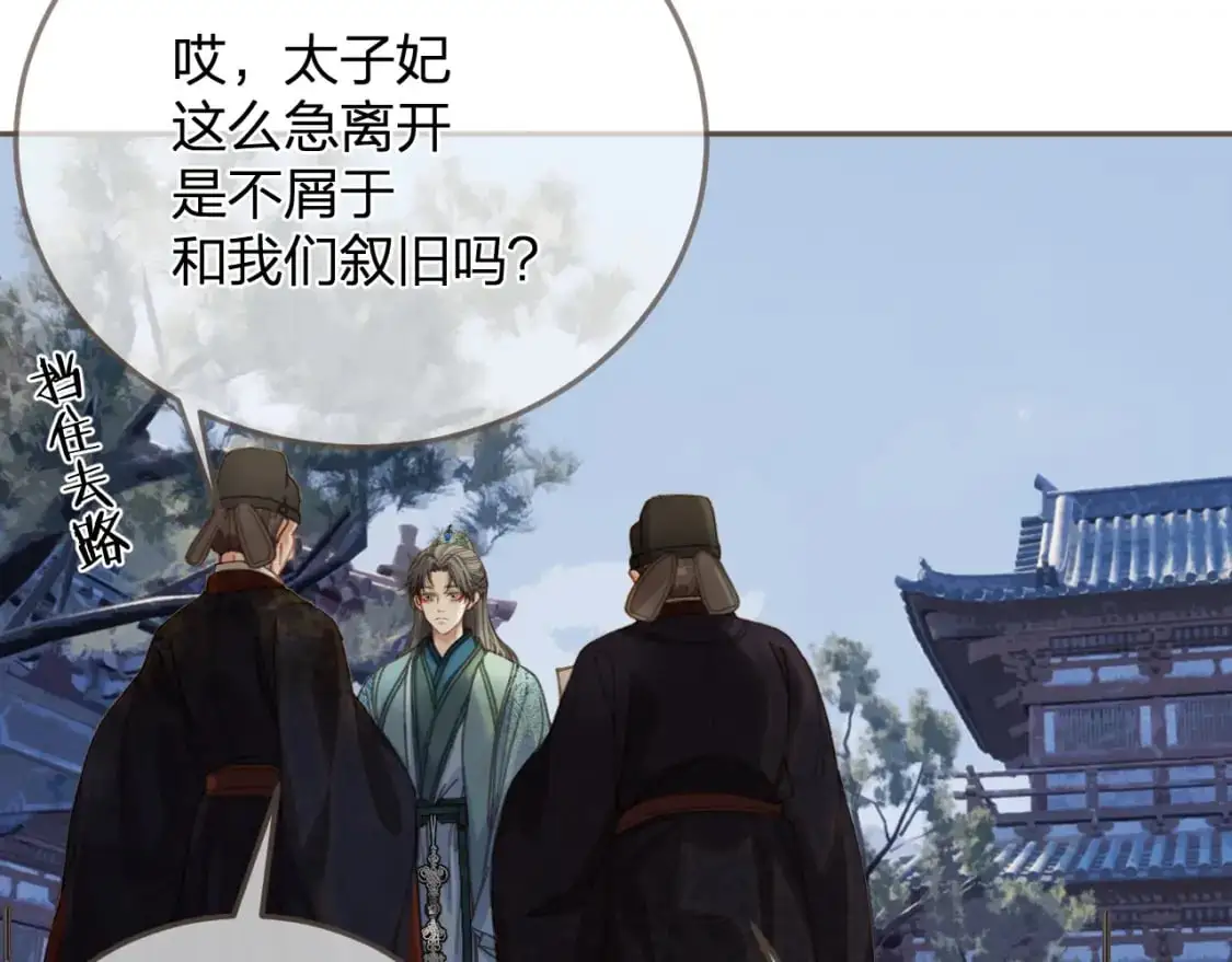 第13话 太子妃的责任79