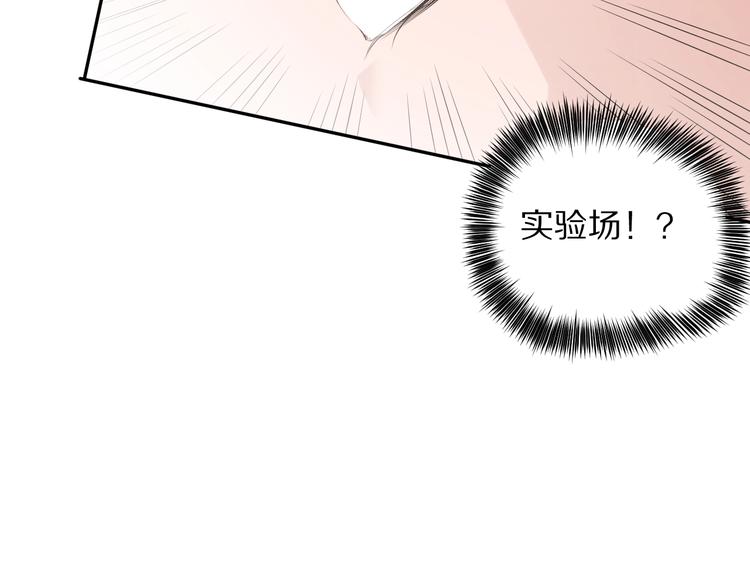 第81话 复仇211