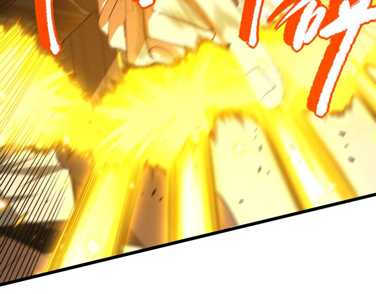 第104话 罗罗亚的进化！102