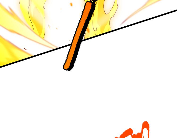 第104话 罗罗亚的进化！166