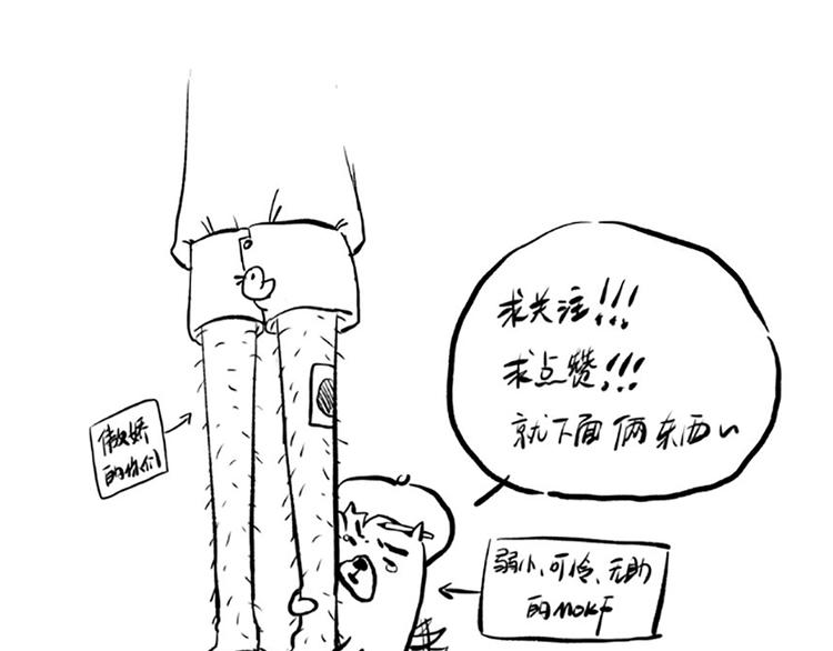 第43话 虎之狂怒161
