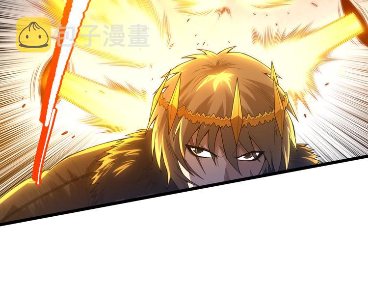 第104话 罗罗亚的进化！110