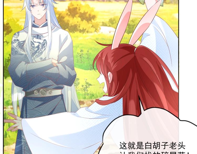第19话 蠢兔子竟是天才？！9