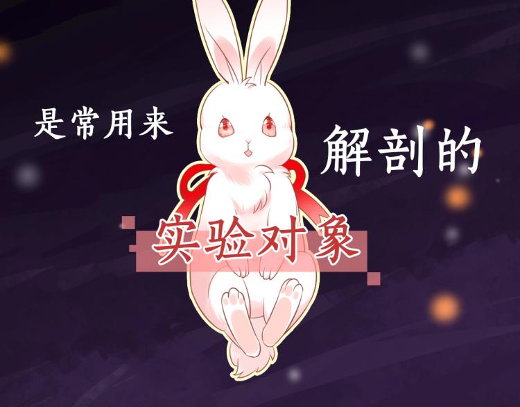 序章 一起云养兔吧！1