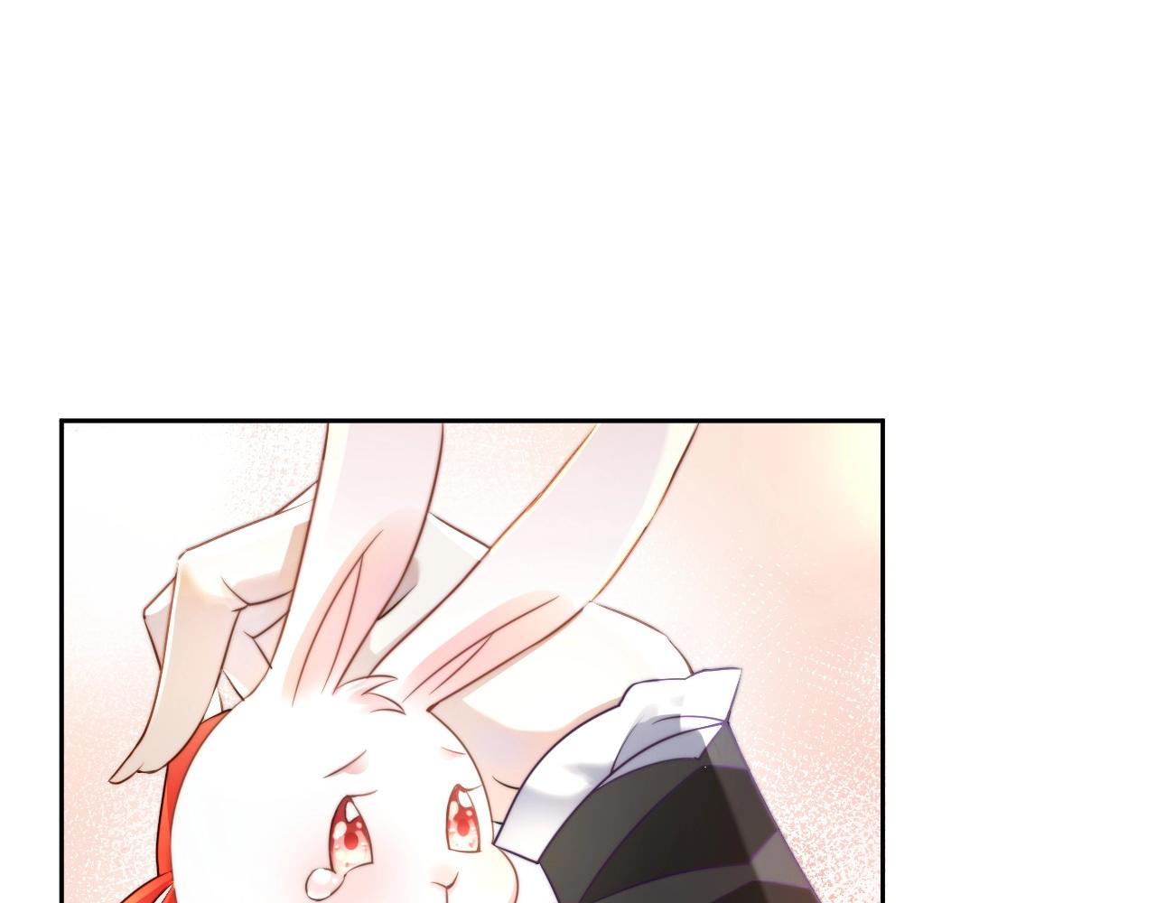 第10话 兔子我不要了！4