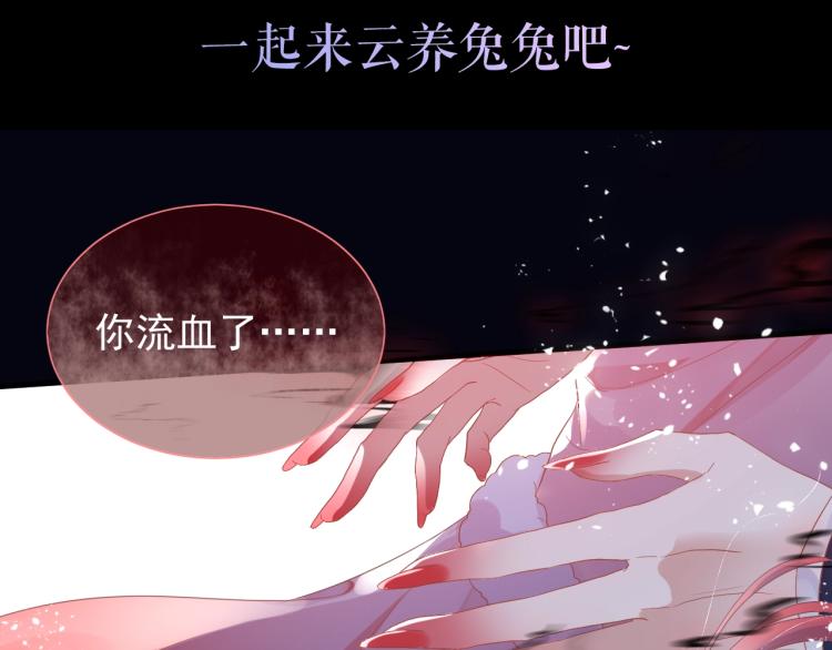 序章 一起云养兔吧！53