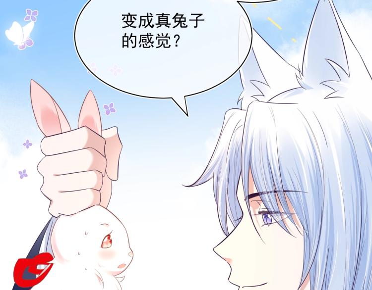 序章 一起云养兔吧！34