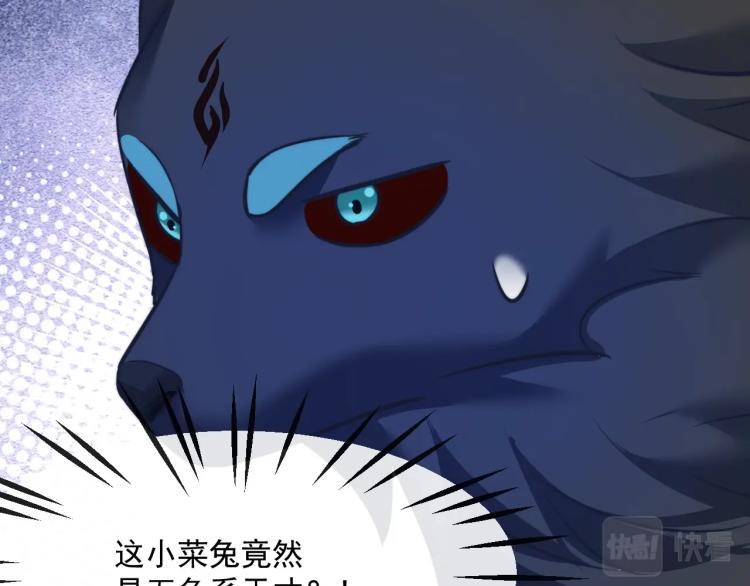 第19话 蠢兔子竟是天才？！96