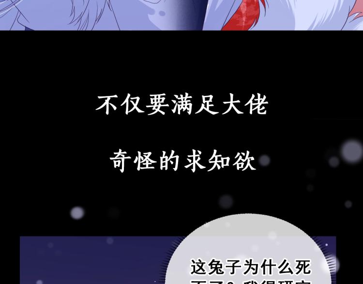 序章 一起云养兔吧！28