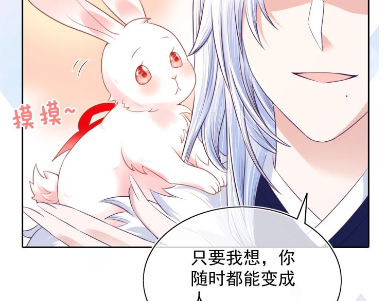 序章 一起云养兔吧！36