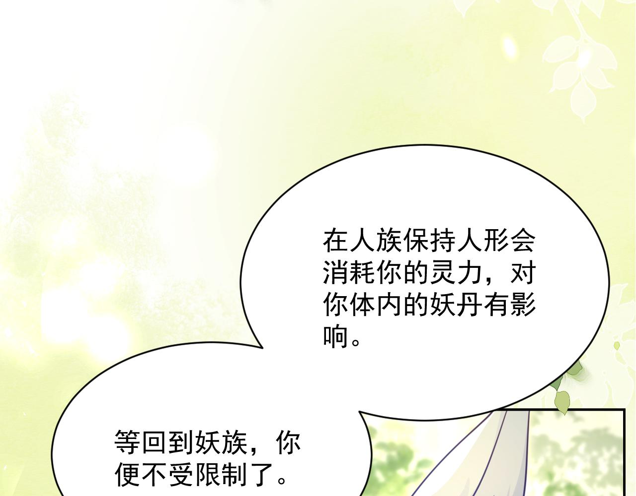 第69话 兔子，跟我回家11